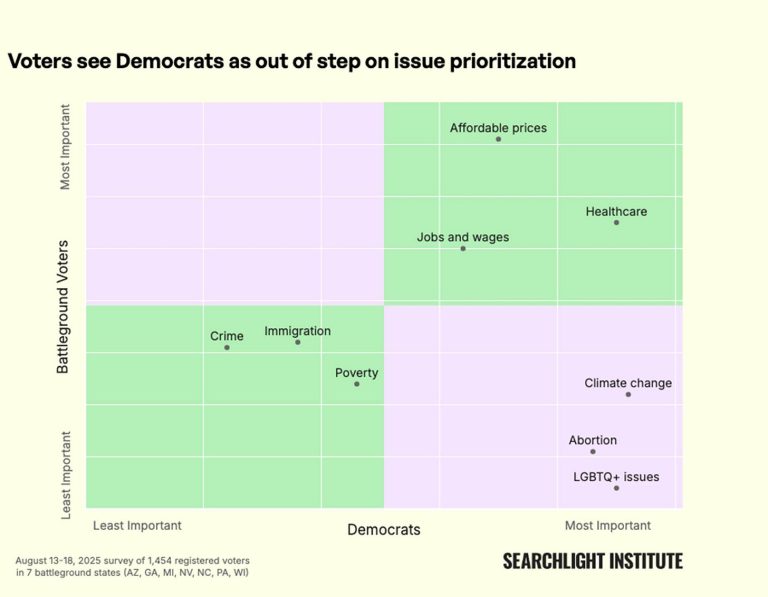 Democrats and “The Vision Thing”