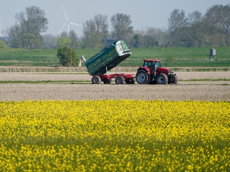 Andalusia fears losses of 2 billion in aid due to the new CAP proposal