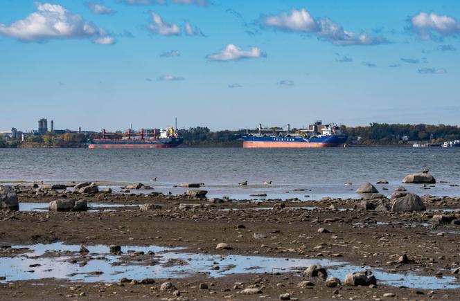 Quebec’s Saint Lawrence River hits record low amid drought