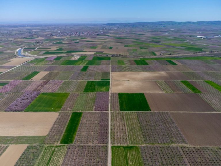 Dozens arrested over Greece’s farm fraud scandal