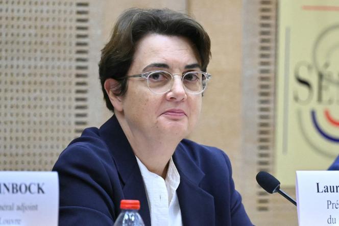 Louvre director admits security failures and insufficient camera coverage after heist