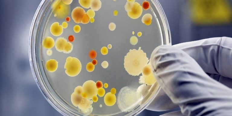 ‘Superbugs’ Endangering World Health