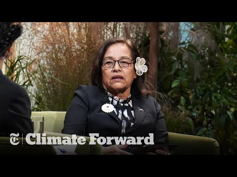 Despite Trump’s words, China and others set higher climate goals