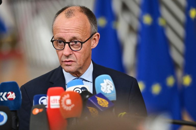 Europa-SPD strongly rejects Merz’s criticism of the EU Parliament