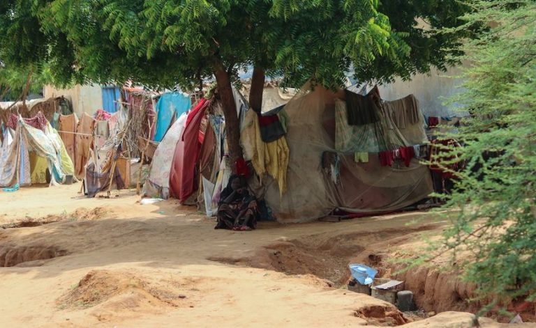 Sudan: Sudanese Paramilitaries Claim to Have Taken Control of Darfur’s El-Fasher