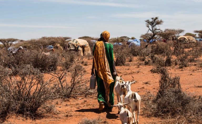 Africa: Climate Change is Fueling Africa’s Next Health Crises, ‘One Health’ is the Answer #CPHIA2025
