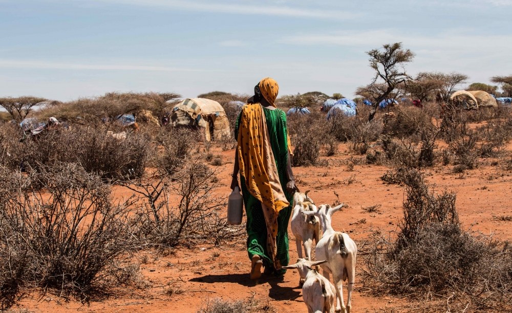 Africa: Climate Change is Fueling Africa’s Next Health Crises, ‘One Health’ is the Answer #CPHIA2025