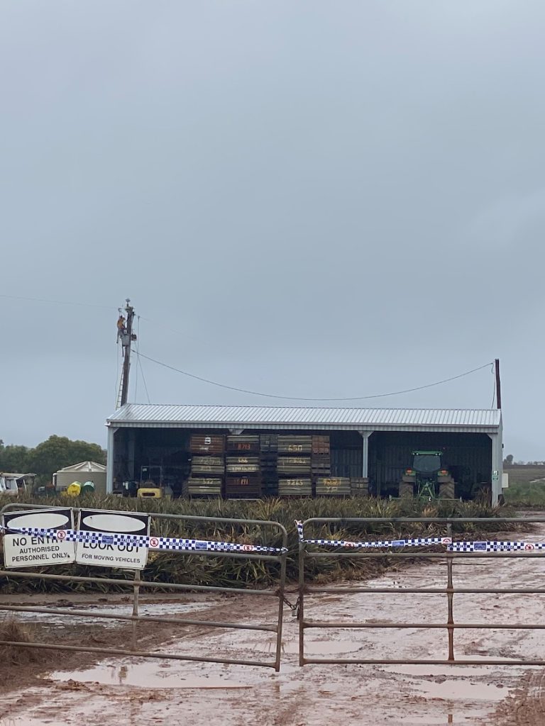 Farm owner cleared of all charges over worker’s electrocution