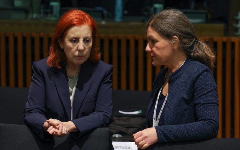 Government asks the EU to strengthen the E-Lar program with 50 million euros