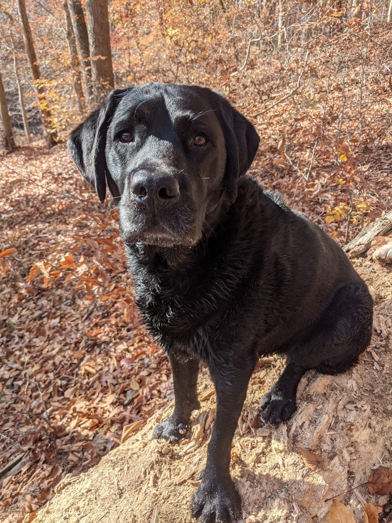 TLP Weekend Edition (November 1-2, 2025)