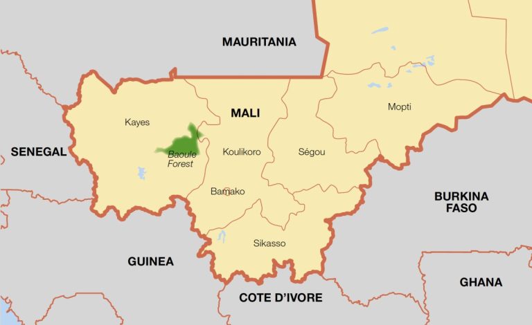 Mali: Mali, Mariam Cisse and the Risk of Implosion, By Jibrin Ibrahim
