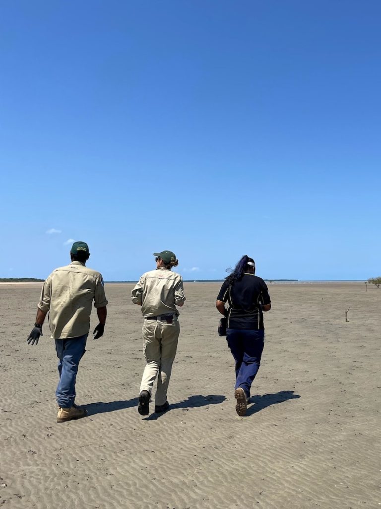 How rangers in the remote north are keeping eggs on city shelves