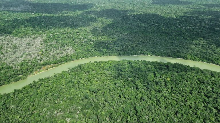 Brazilian lawmakers seek to decimate green laws one week after hosting climate summit