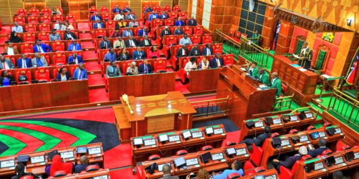Parliament Pushes Bill Giving Content Creators Legal Status and Govt Backing