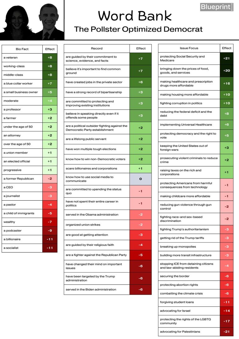 What Voters Want to See from Democrats