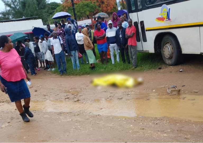 He had just arrived in SA — Zimbabwean man killed in fatal crash