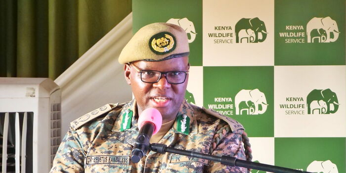 Senate Issues Ultimatum to KWS Over Park Entry Fee Hike