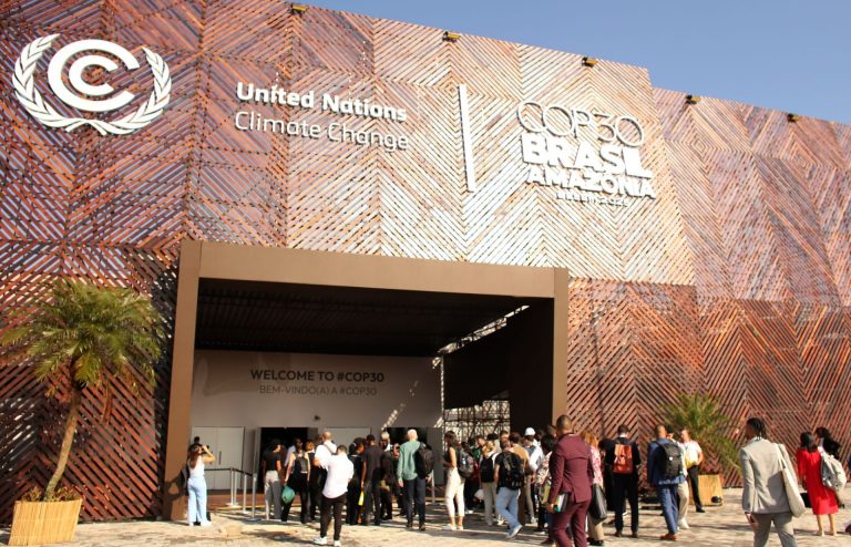 Carbon tax or cop-outs: EU tries to win over countries at climate conference