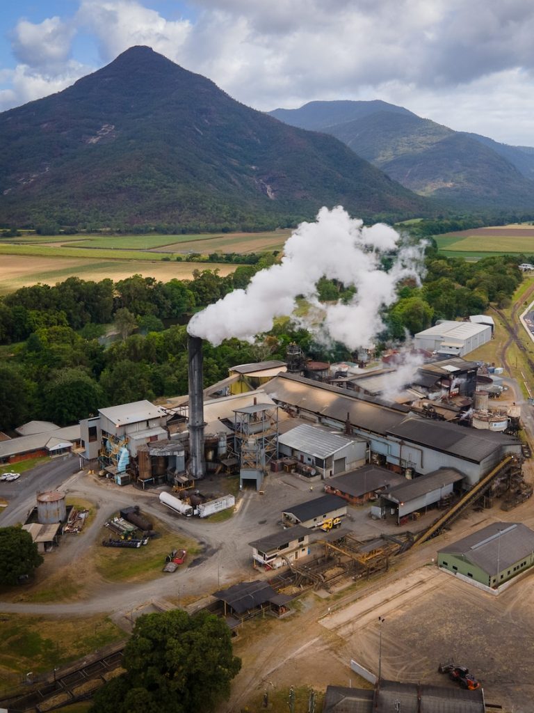 Far North Queensland cane growers in limbo as mill deal ends
