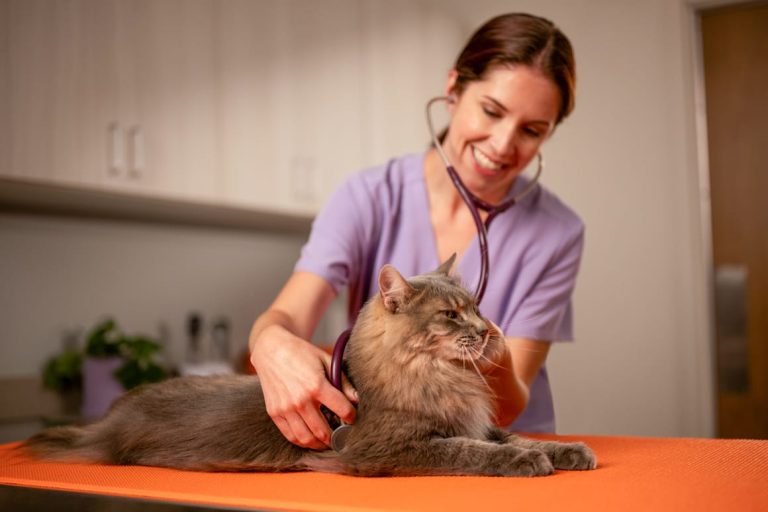 Animal health innovation: Advancing life sciences in Europe