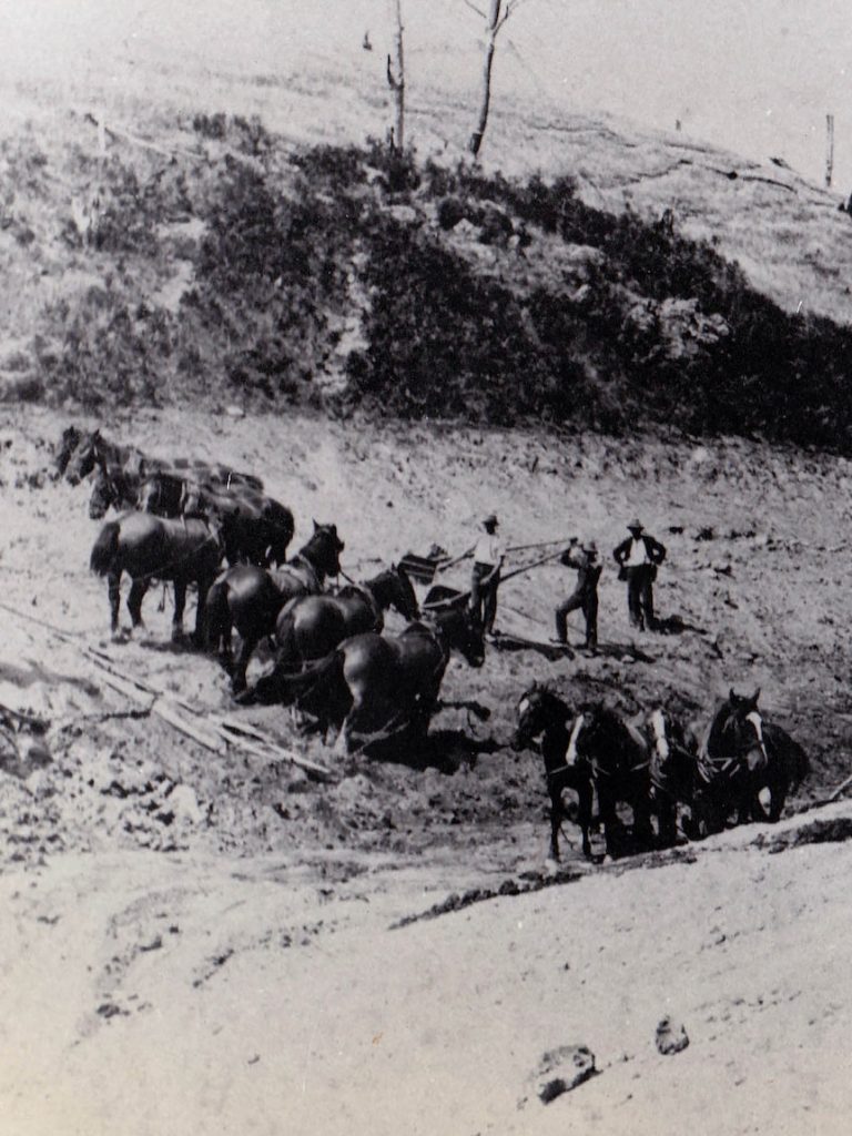 How Victoria’s old sugar beet industry helped dairy farmers prosper