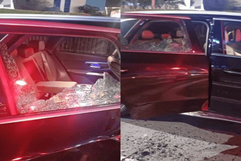 Hijacker shot after targeting G20 car full of elite SA police officers