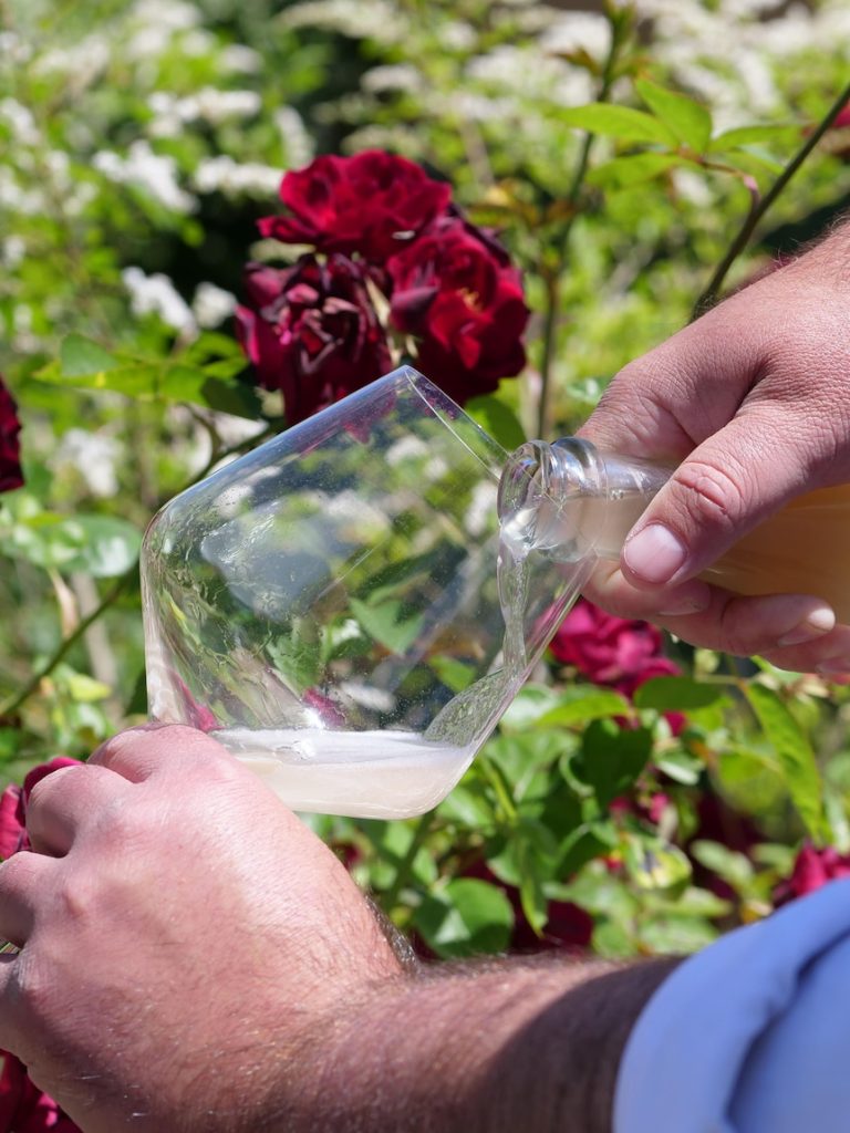 A new vintage: Why gen Z and millennials favour organic wines