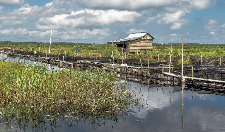 Indonesia as a Player in the Global Carbon Trade