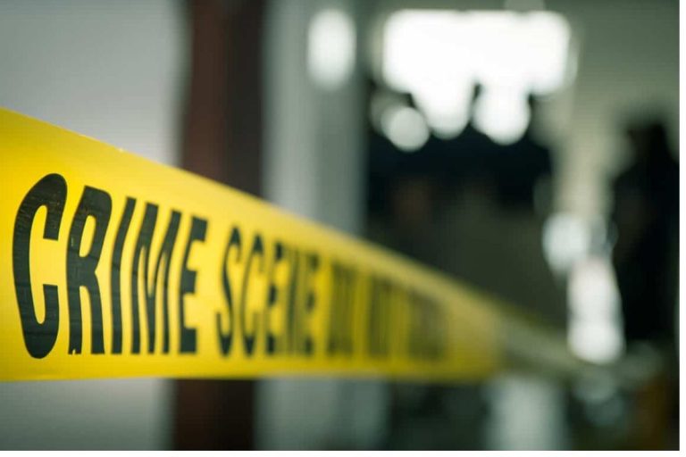 Manhunt launched after dog uncovers human remains in Limpopo