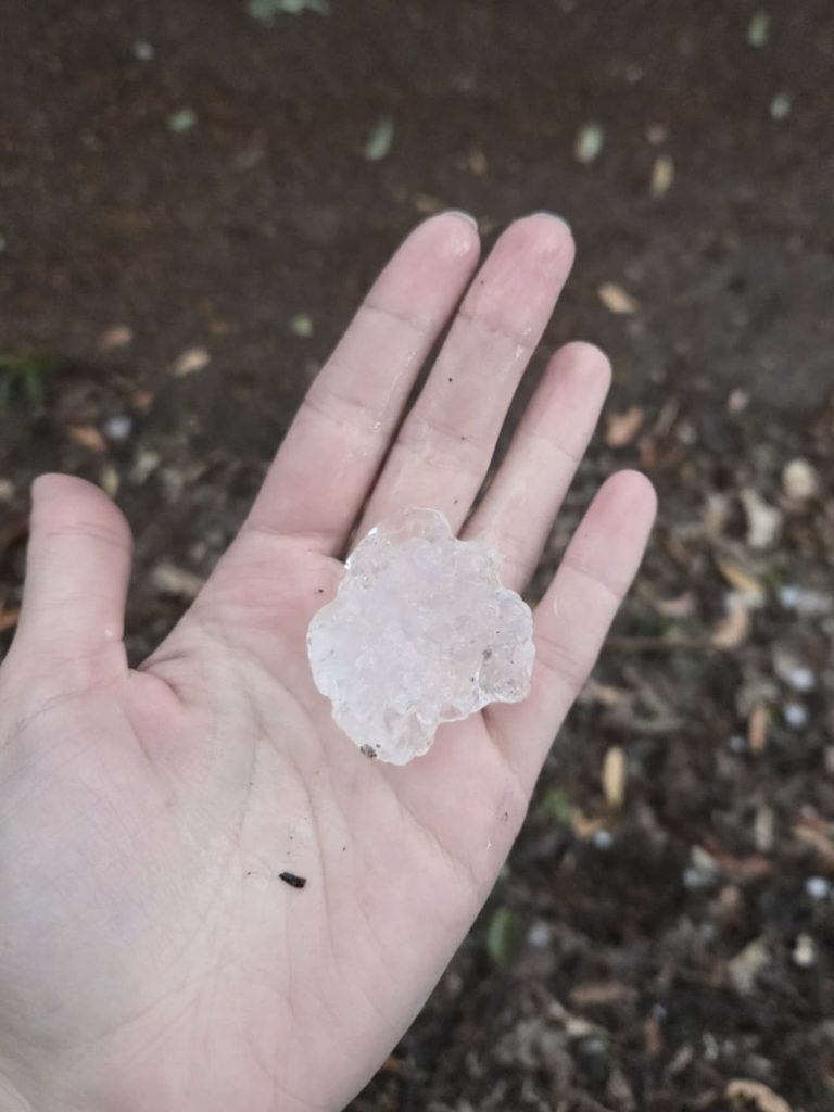 Crops decimated by severe thunderstorms and hail in WA’s south