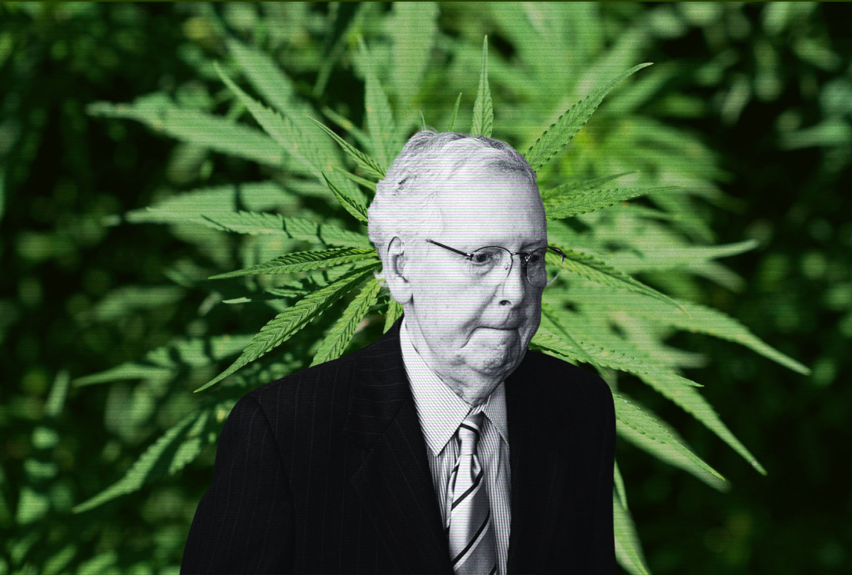 Why Mitch McConnell helped kill the hemp buzz