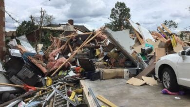 COP30 sees highest participation from Indigenous groups, still falls short of addressing climate crisis