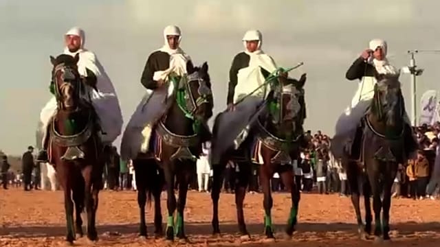An equestrian festival in a western Libyan city goes international