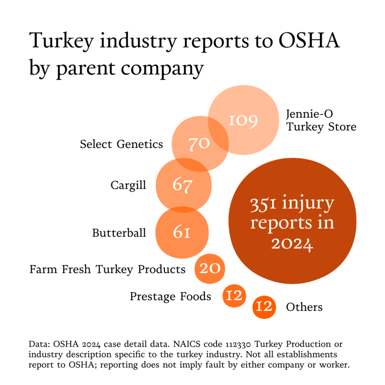 The Hidden Cost of the American Turkey