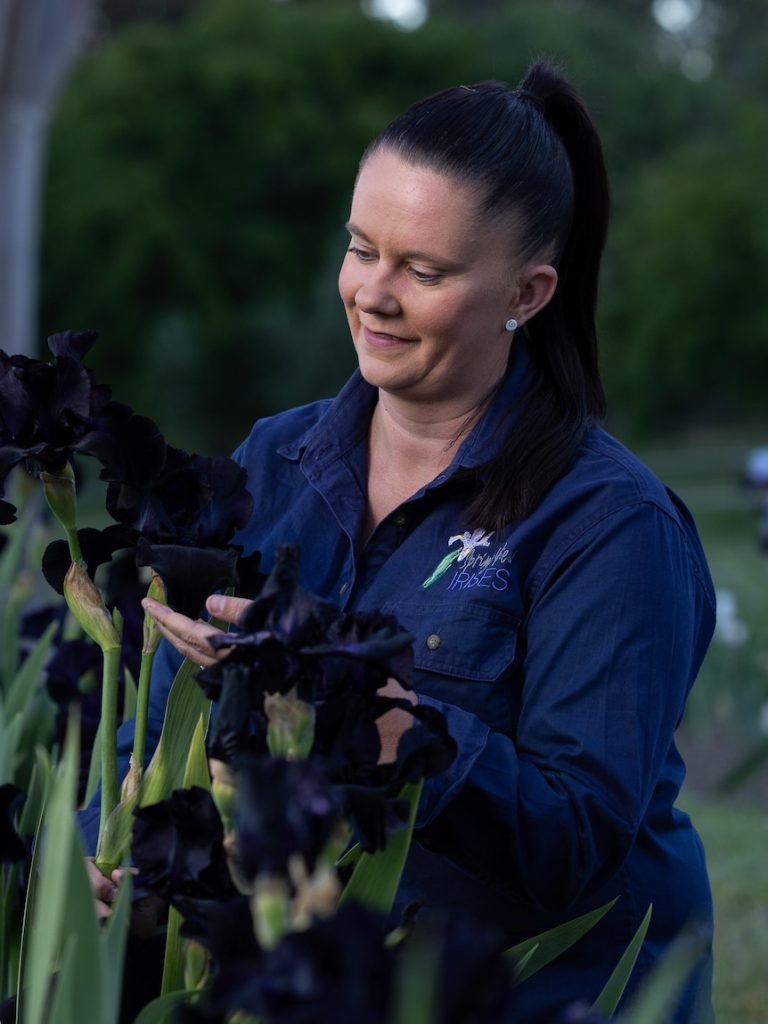 ‘Near black’ flowers that bloom just in time for Halloween