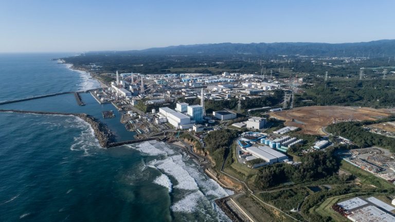 UN atomic body stresses post-Japan wastewater release food safety