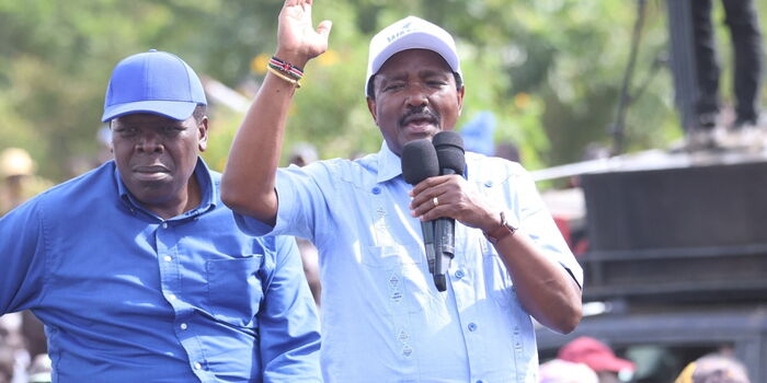 Kalonzo to Challenge Mbeere North, Malava By-Election Results in Court