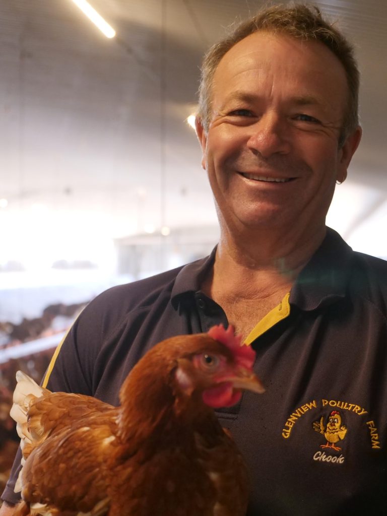 Egg shortage becomes egg oversupply with farmers unable to sell product