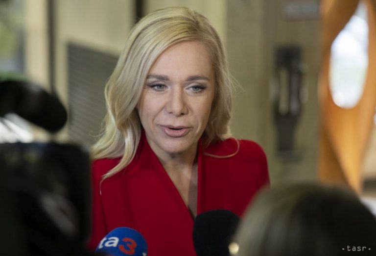 D. Saková: Slovakia will replace gas supplies from Russia with other sources after the EU regulation