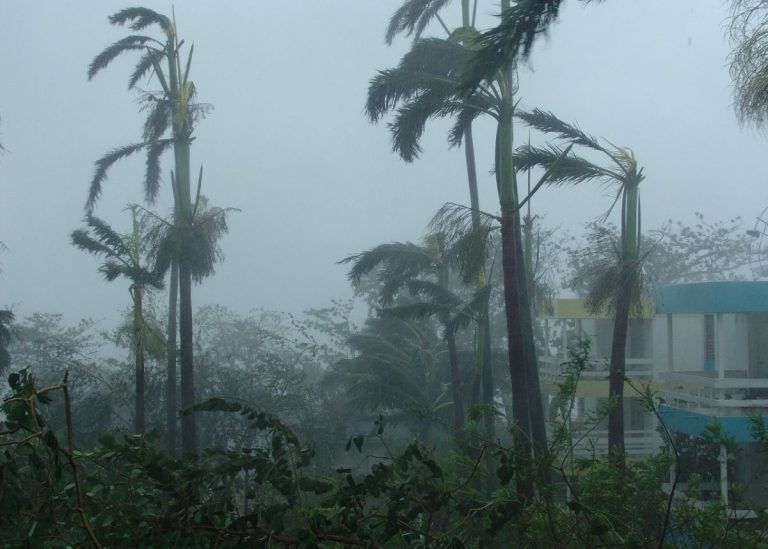 WEATHER: Heavy rain, winds and HAIL expected this WEEKEND