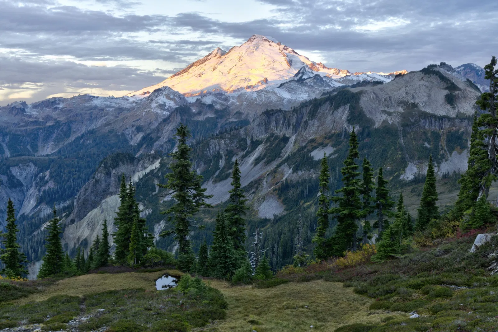 Destroying the American West for Cheap Steak