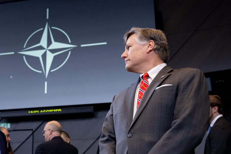 Top US official says EU regulation ‘undermines’ NATO ties