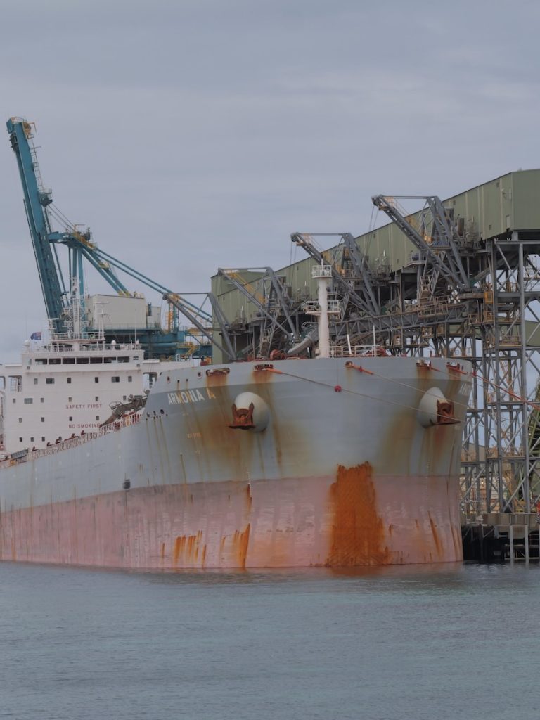 China imports first Australian canola shipment in five years