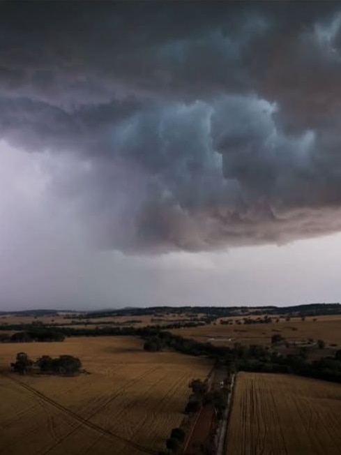 Hail stones and heavy rain wreak havoc for WA farmers and businesses