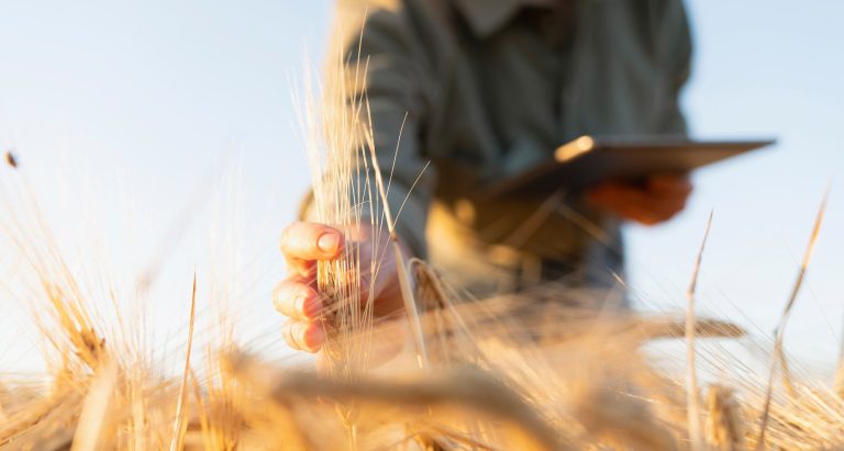 PepsiCo and Unilever step up with new regen ag push