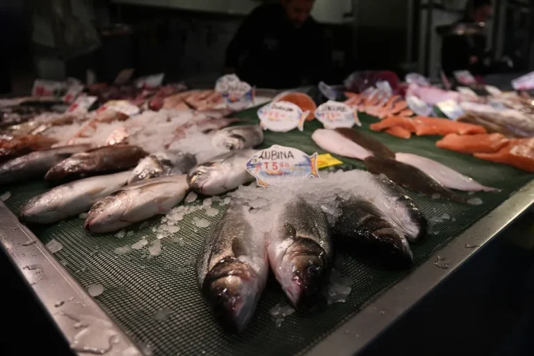 European fishing sector says Mediterranean proposal threatens thousands of jobs