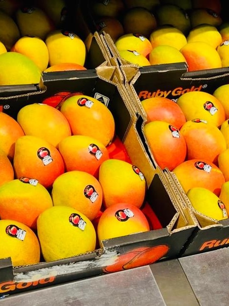 New mango variety to hit shelves after years of development