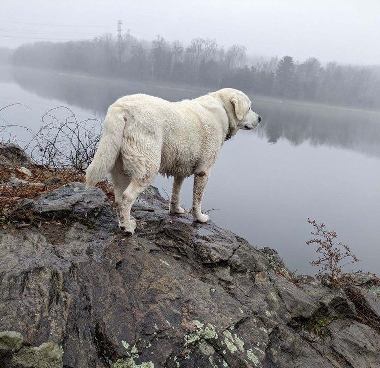 TLP Weekend Edition (December 13-14, 2025)