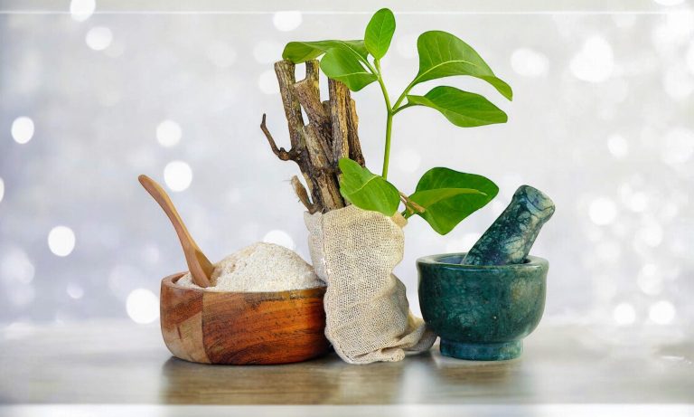 India regulates Ayurveda Aahara, aligns with food wellness trends