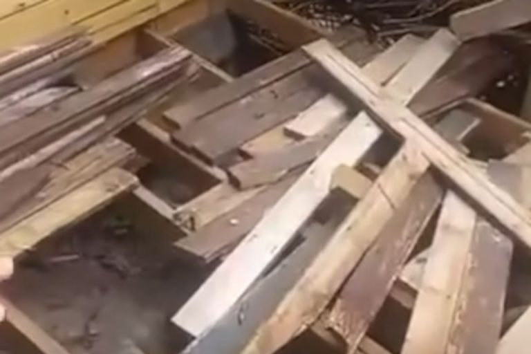 Joburg couple finds humour in Airbnb rental shocker in Cape St Francis – WATCH